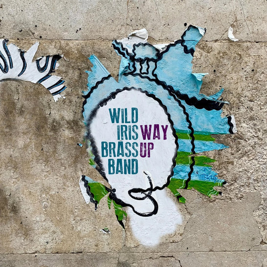 Wild Iris Brass Band: Way Up